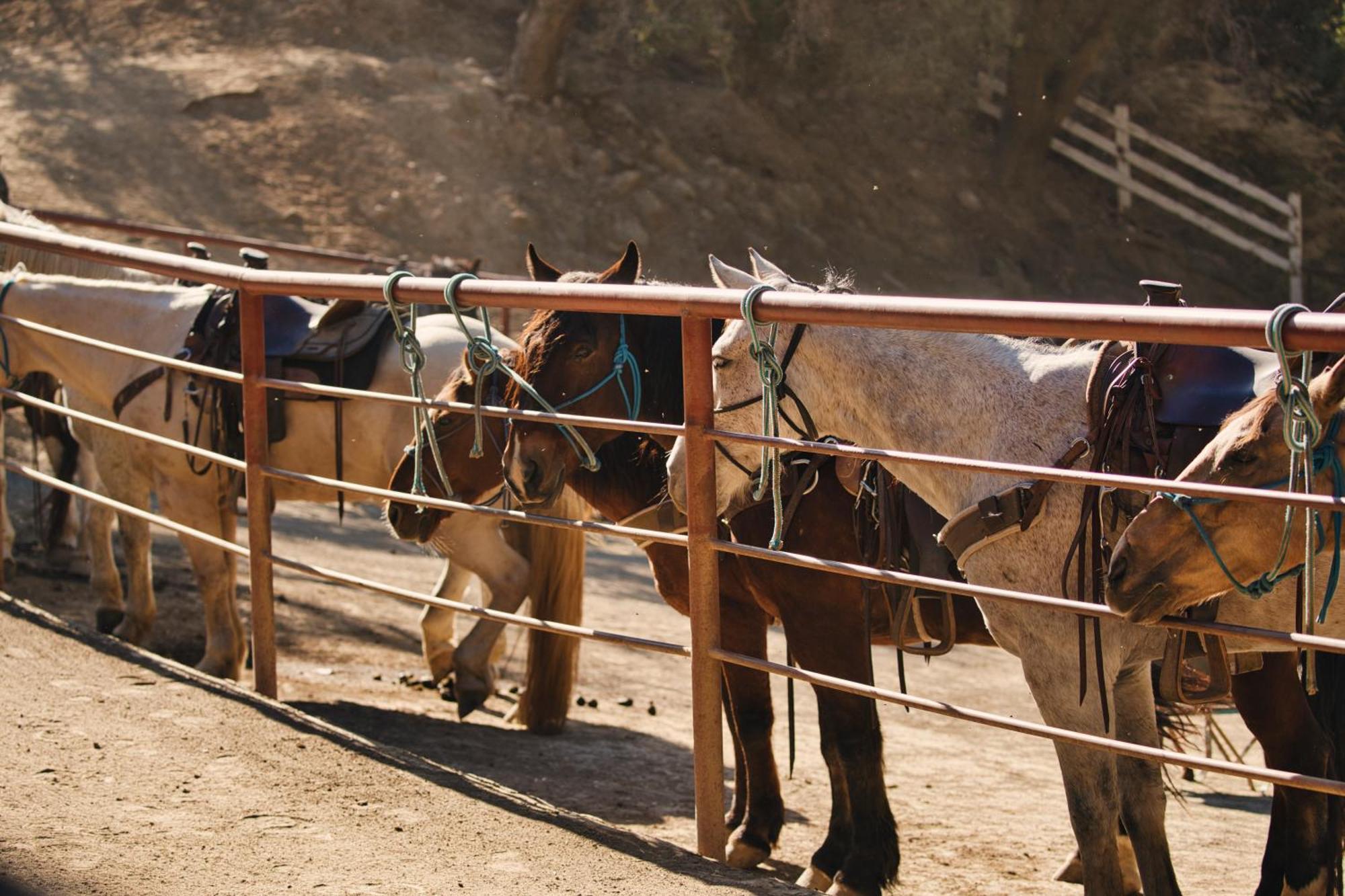 Circle Bar B Guest Ranch Hotel Capitan Exterior foto