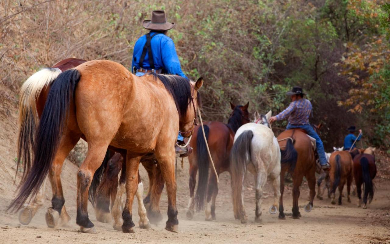 Circle Bar B Guest Ranch Hotel Capitan Exterior foto
